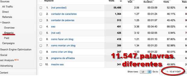 Diversidade de Palavras-Chave - Google Analytics