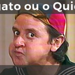 o gato ou o quico