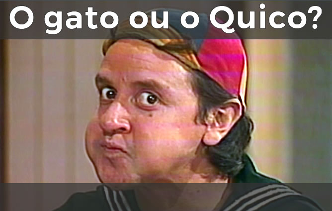 o gato ou o quico